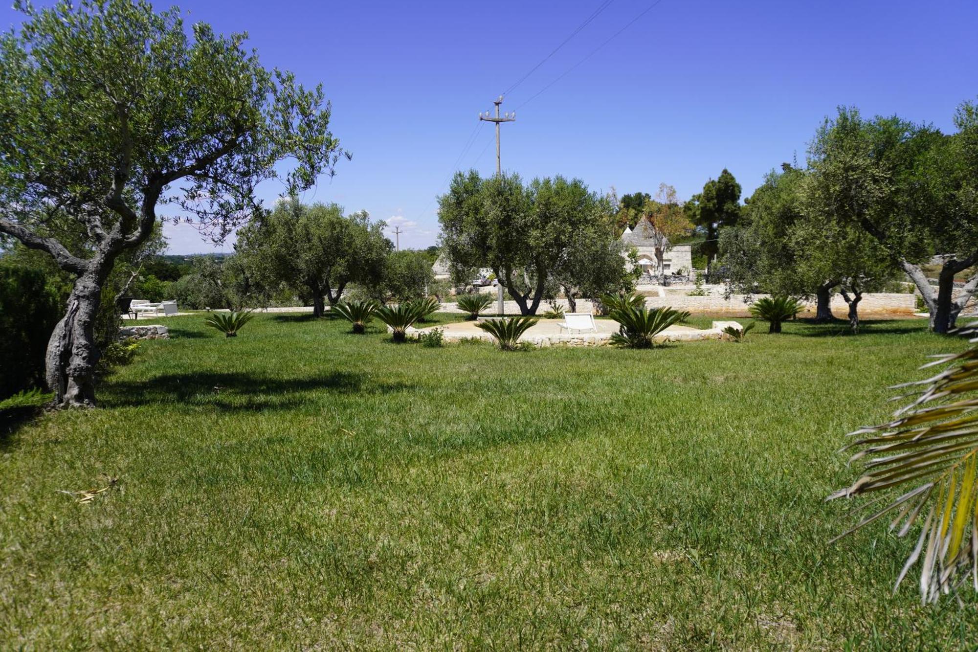 فيلا Trullo Amico تْشيستيرنِنو المظهر الخارجي الصورة
