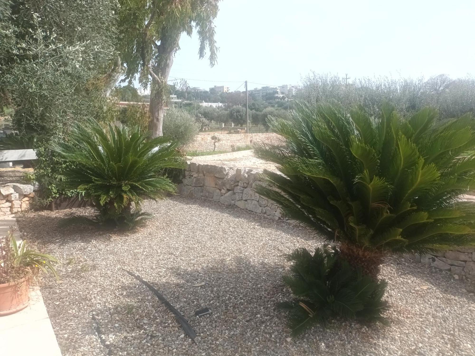 فيلا Trullo Amico تْشيستيرنِنو المظهر الخارجي الصورة